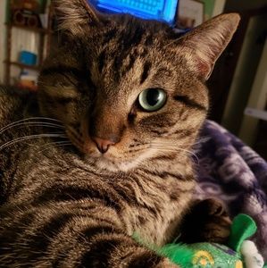 Meet your Posher, Kelly